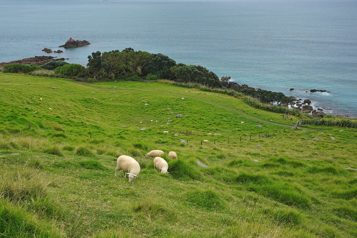 自然純淨是紐西蘭的最佳形容詞。