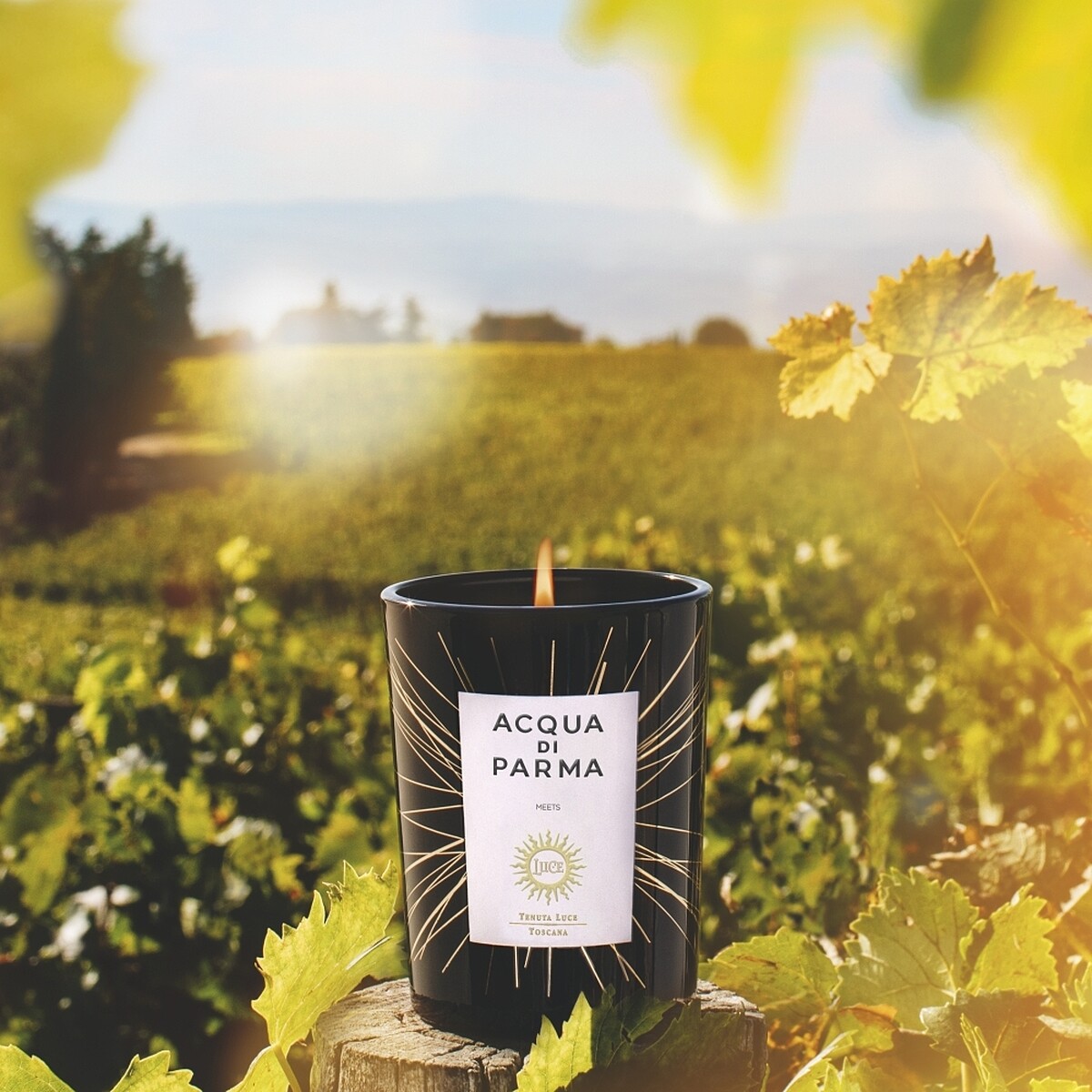 Acqua di Parma Tenuta Luce麓鵲酒莊限量香氛蠟燭200g，NT3,000