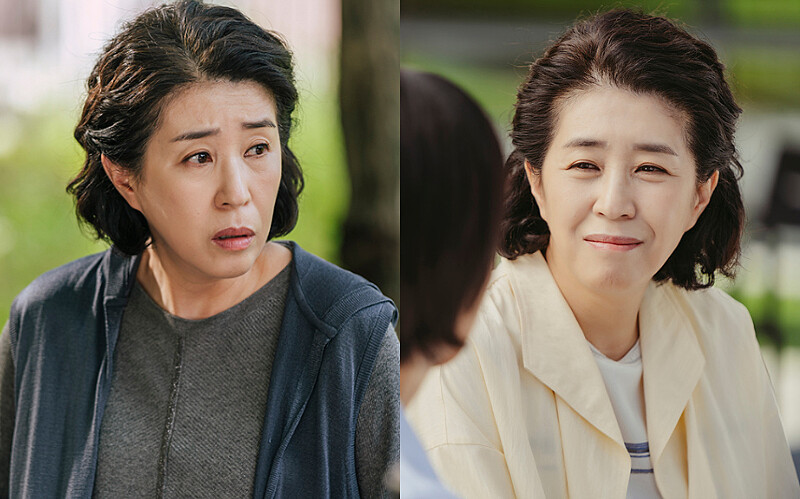 《車貞淑醫生》演員金美京