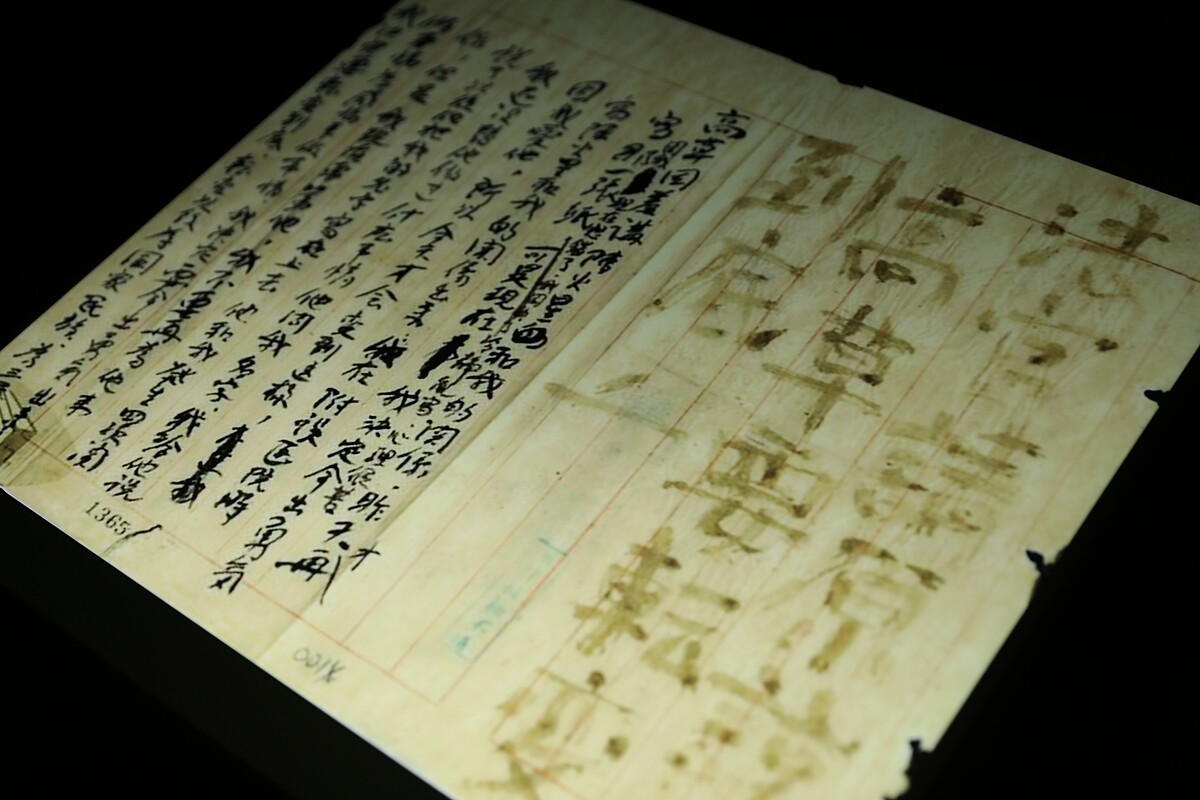 吳瑪悧＿〈我是高草〉