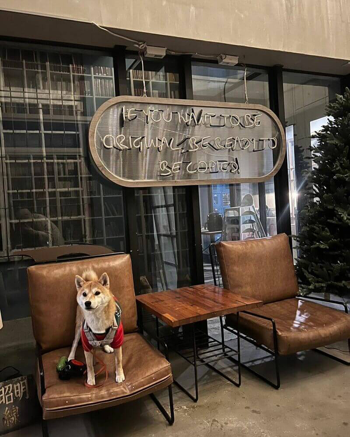 圖／@shiba.kuma_