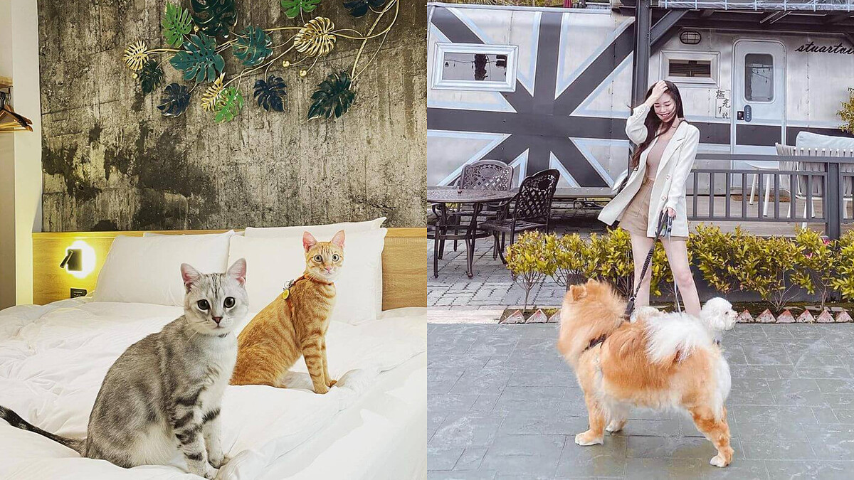 【TOP 6 寵物友善住宿推薦】不用再讓毛小孩顧家，和心愛寵物一起享受美好旅程