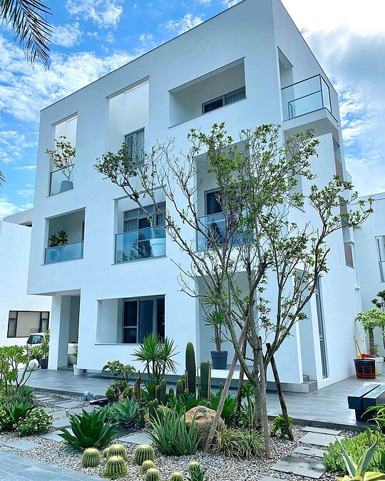 圖片來源 / IG@linchenhua