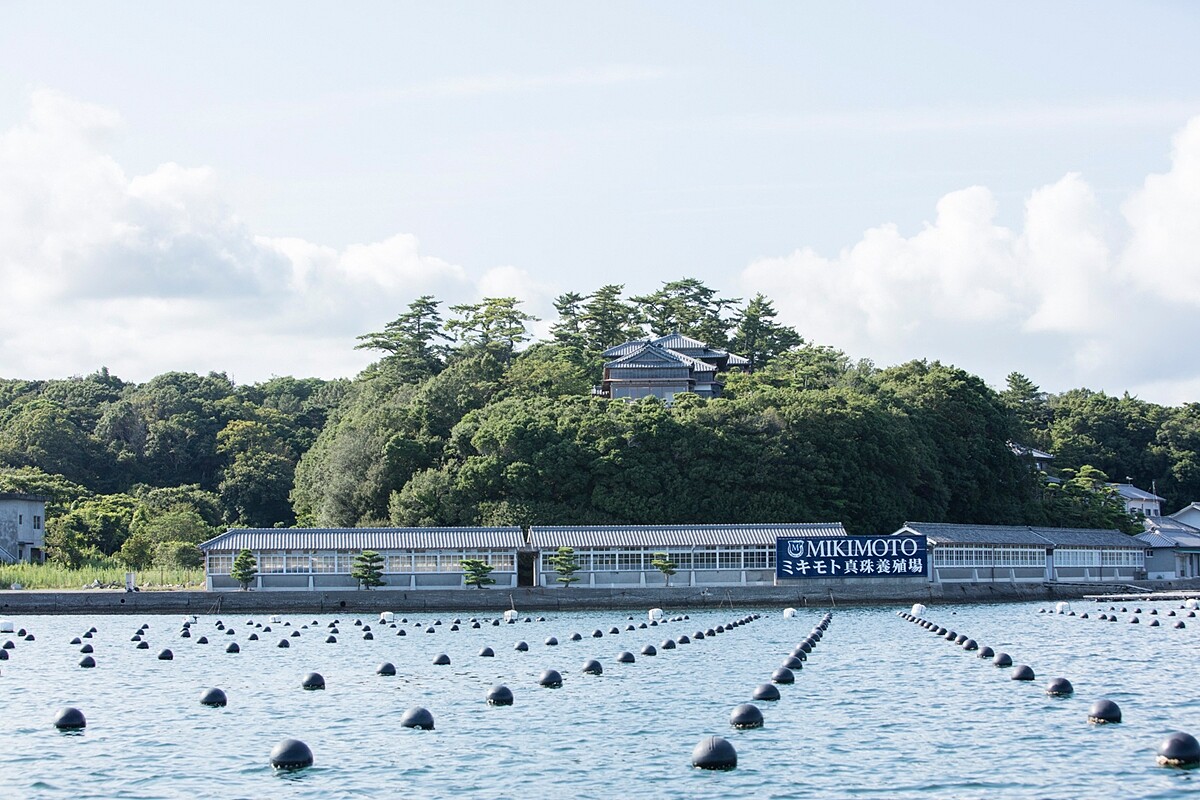 MIKIMOTO養殖場