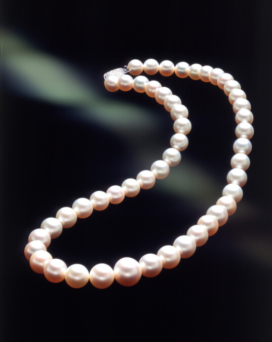 「大將連」，由御木本幸吉先生每年從收成的養殖珍珠當中，選取最美的一枚，串成珠鍊