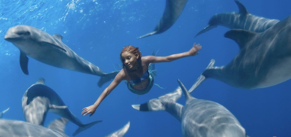 全日長時間泡在水中拍戲，荷莉專注臀部擺動有健身練臀腰線條效果。