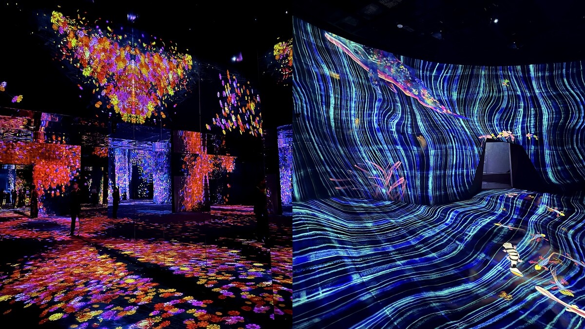 《花與人的窪谷：迷失、沉浸與重生》、《翻轉世界之塗鴉自然, 紅色名錄》