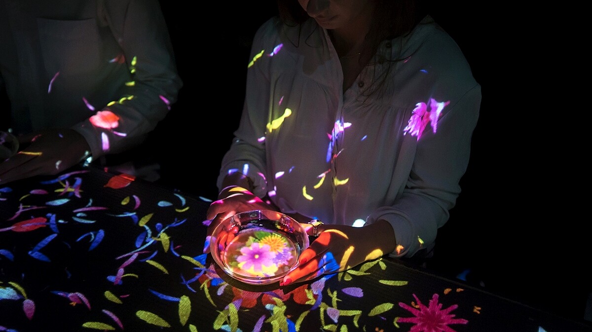 《綻放在茶碗裏那無限宇宙中的花朵》