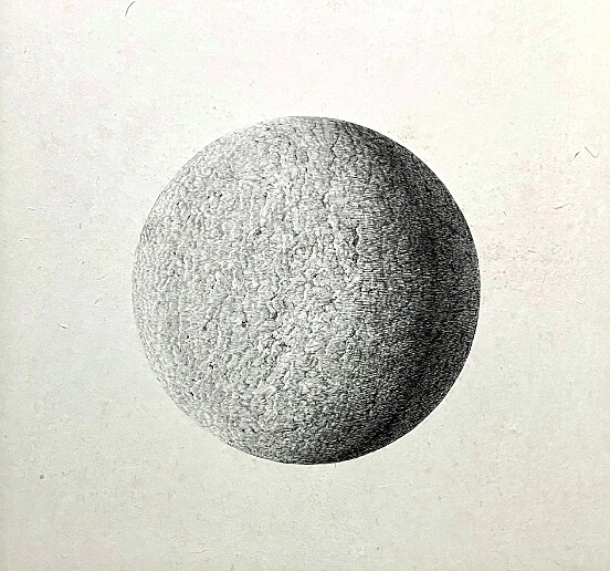 魏柏任｜扁球體 Oblate Spheroid 2023 78&times;73 cm 楮染原紙、代針筆。