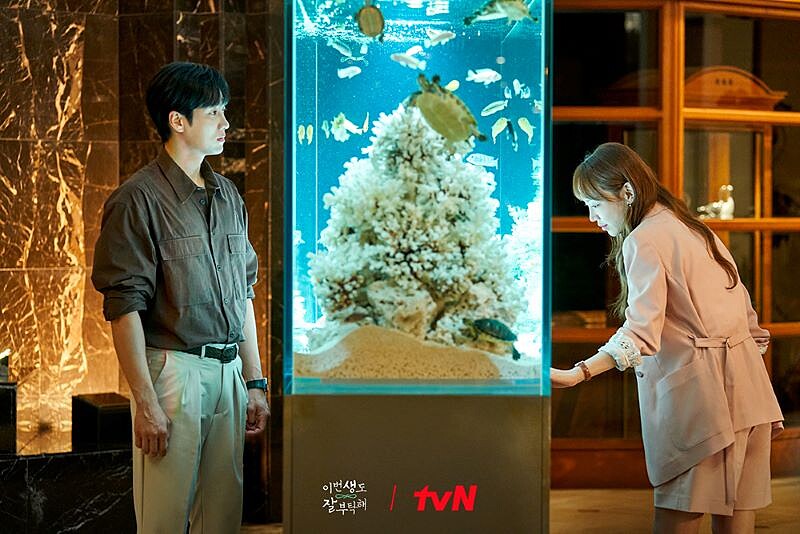 《今生也請多指教》安普賢 申惠善