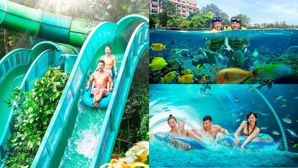水上探險樂園Adventure Cove Waterpark