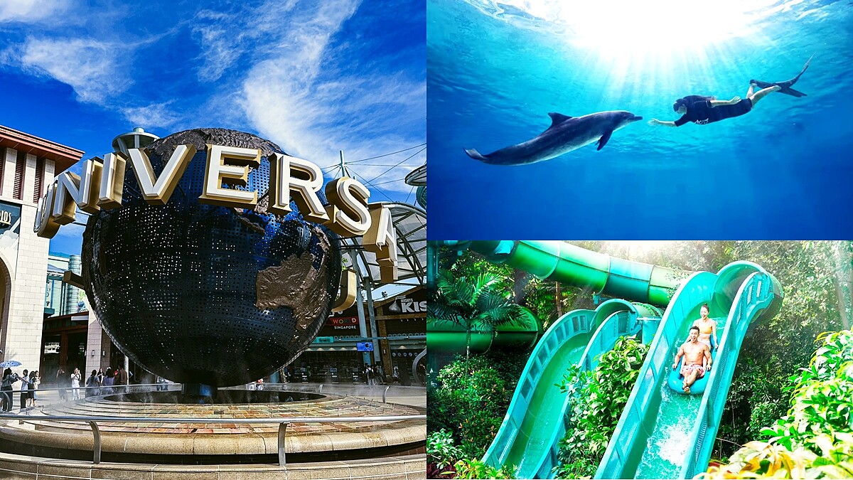 新加坡4大親子景點推薦！與海豚親密互動、620公尺漂漂河解暑氣，別錯過變形金剛、小小兵見面會