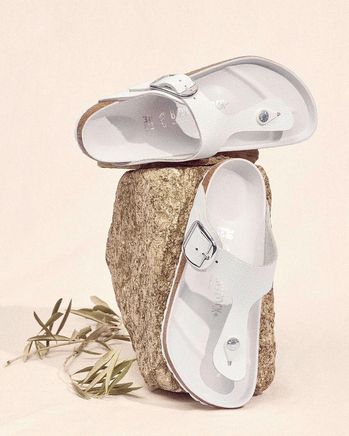 Birkenstock Gizeh Big Buckle 大方釦涼鞋