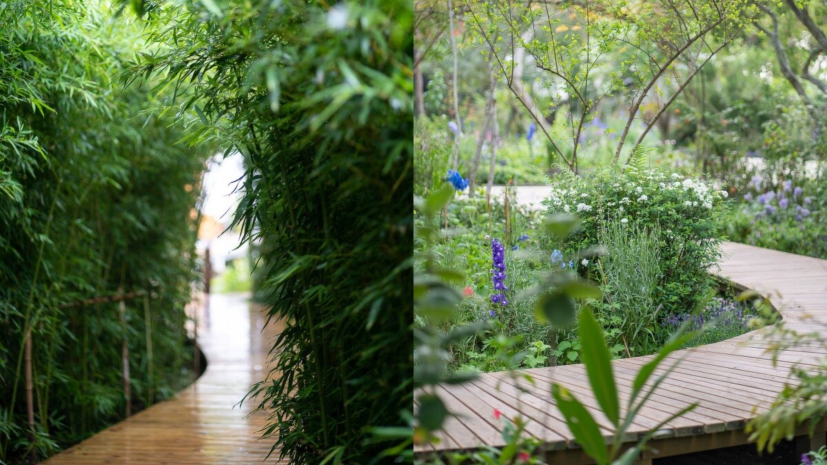 竹林、花園交織出一片能遠離塵囂的秘境