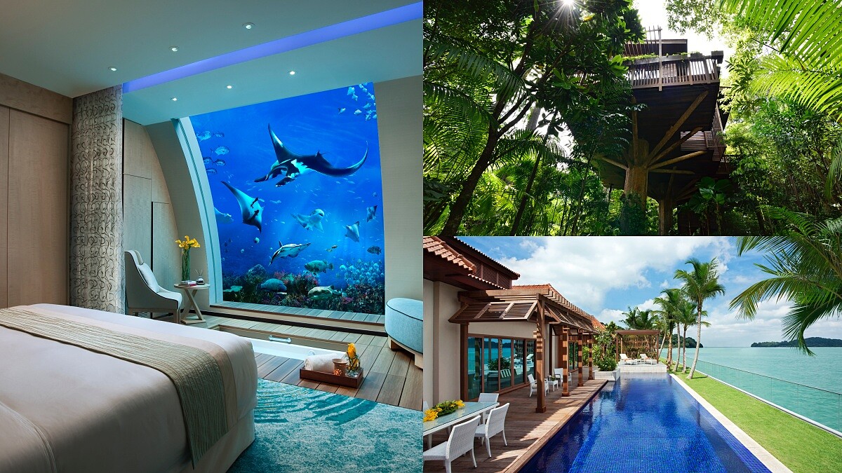 4萬隻魚群陪入眠！新加坡聖淘沙五大特色住宿：「海底套房」巨大水族缸夢幻滿分、12米高樹屋綠意好舒心