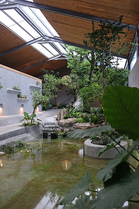 老樟樹成為佇立在空間裡的視覺重點。