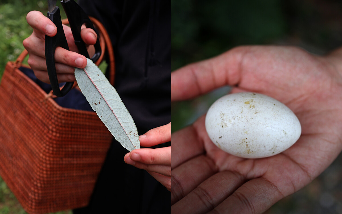 多種田園體驗行程。