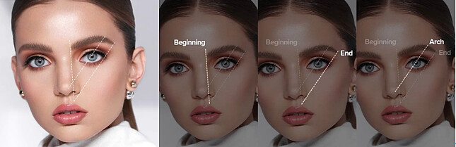 Anastasia Beverly Hills黃金比例修眉法示意。