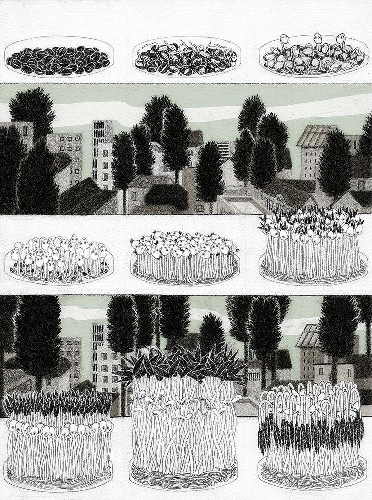 卓霈欣－樹冠羞避