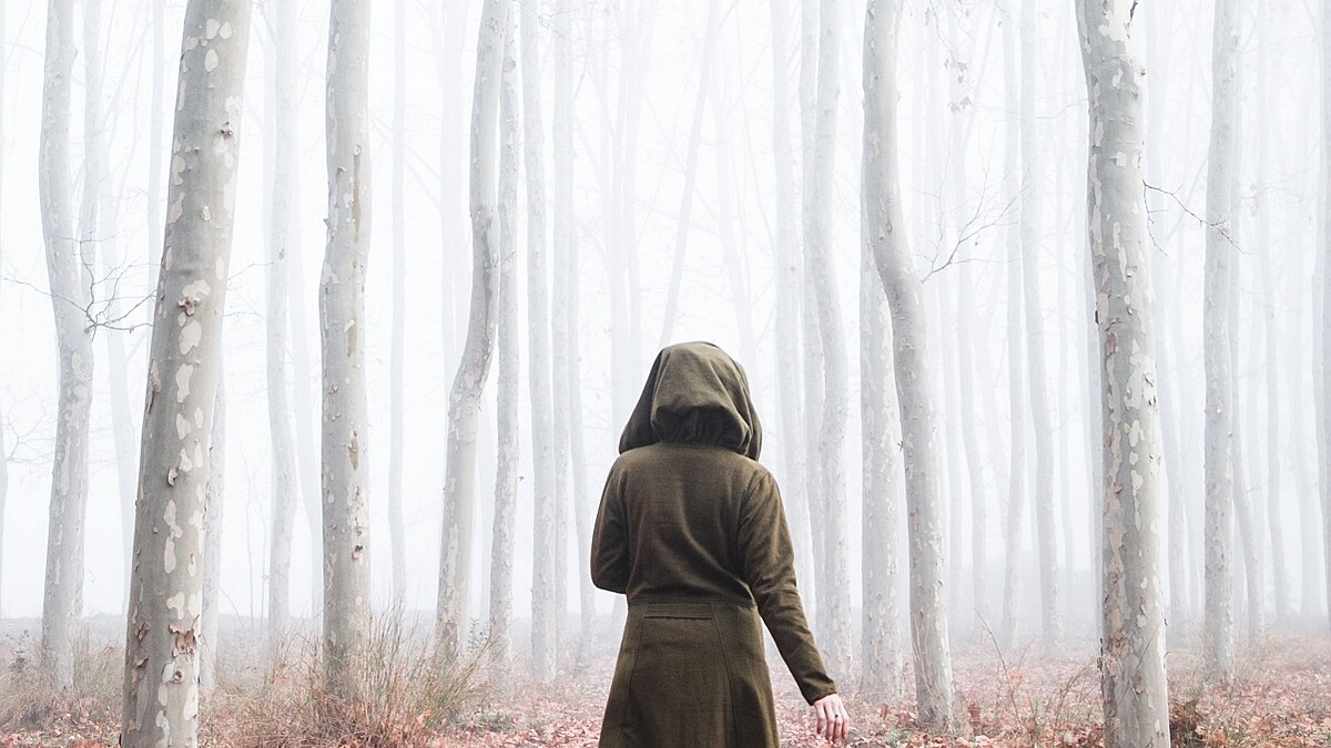 2023下半年生肖流年運勢！屬虎恐捲入三角戀、屬蛇努力會被看見、屬猴切忌太懶散