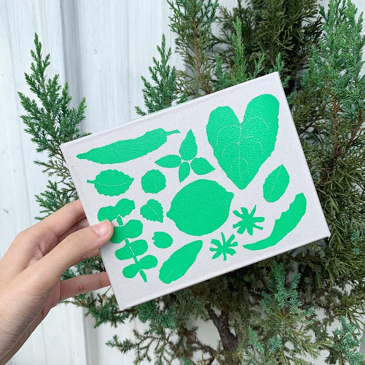 陳怡今－藝術書創作 老豆的小庭院