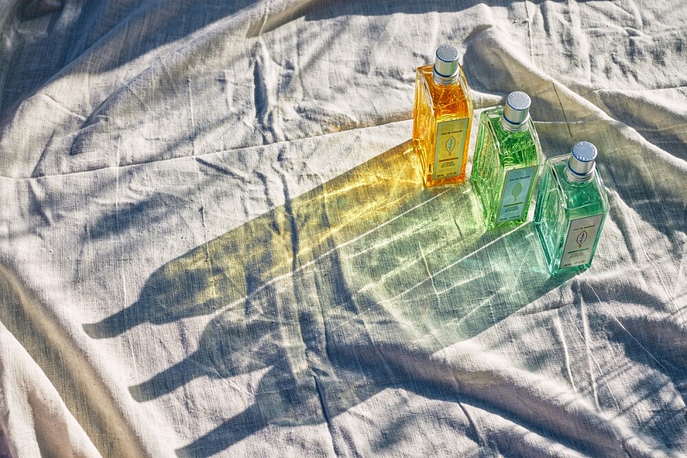 L&rsquo;OCCITANE馬鞭草限量香氛系列淡香水情境照。