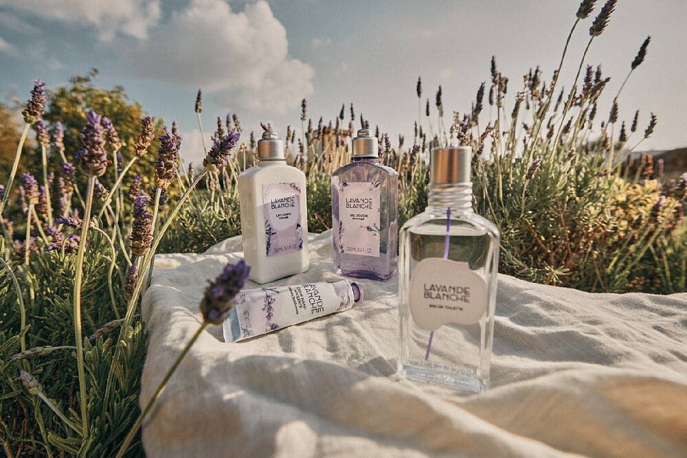L'OCCITANE歐舒丹白薰衣草系列。
