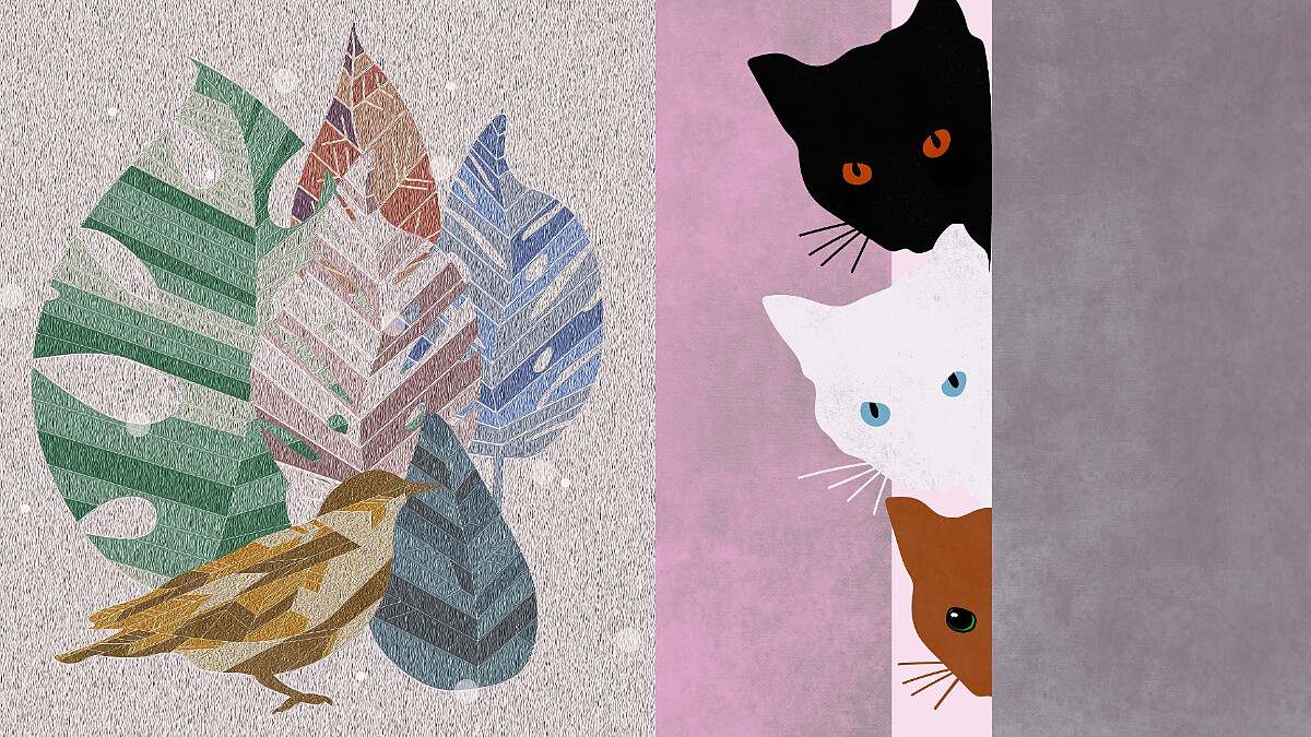 新手菜鳥不要怕！紫微斗數零基礎簡易版 認識14主星入門篇（下）