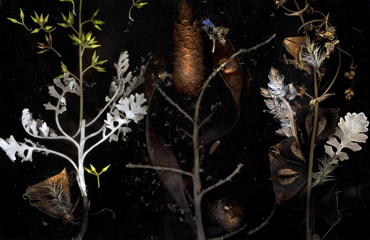 章光和《巫草七味》，2016；數位輸出。