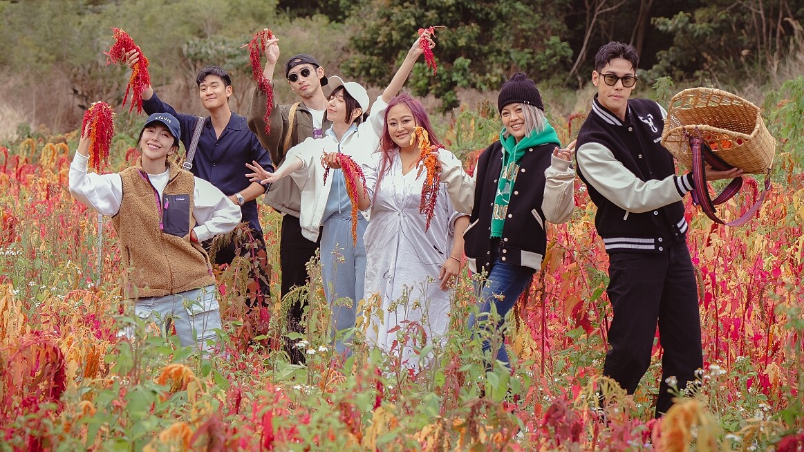 《光開門就很忙了》林心如、陳意涵、陳昊森幫鱷魚洗澡？周興哲、周予天０默契兄弟檔竟忘了早餐