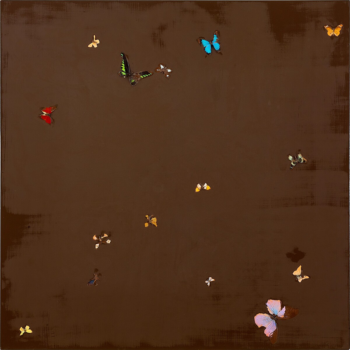 達米恩・赫斯特， 《一些愛的事情(為安妮 F 作)》 蝴蝶光澤塗料畫布 1991 年作，1996 年由藝術家着色，122 x 122 公分