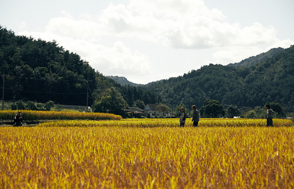 《飯捲男孩乖乖睡》劇照