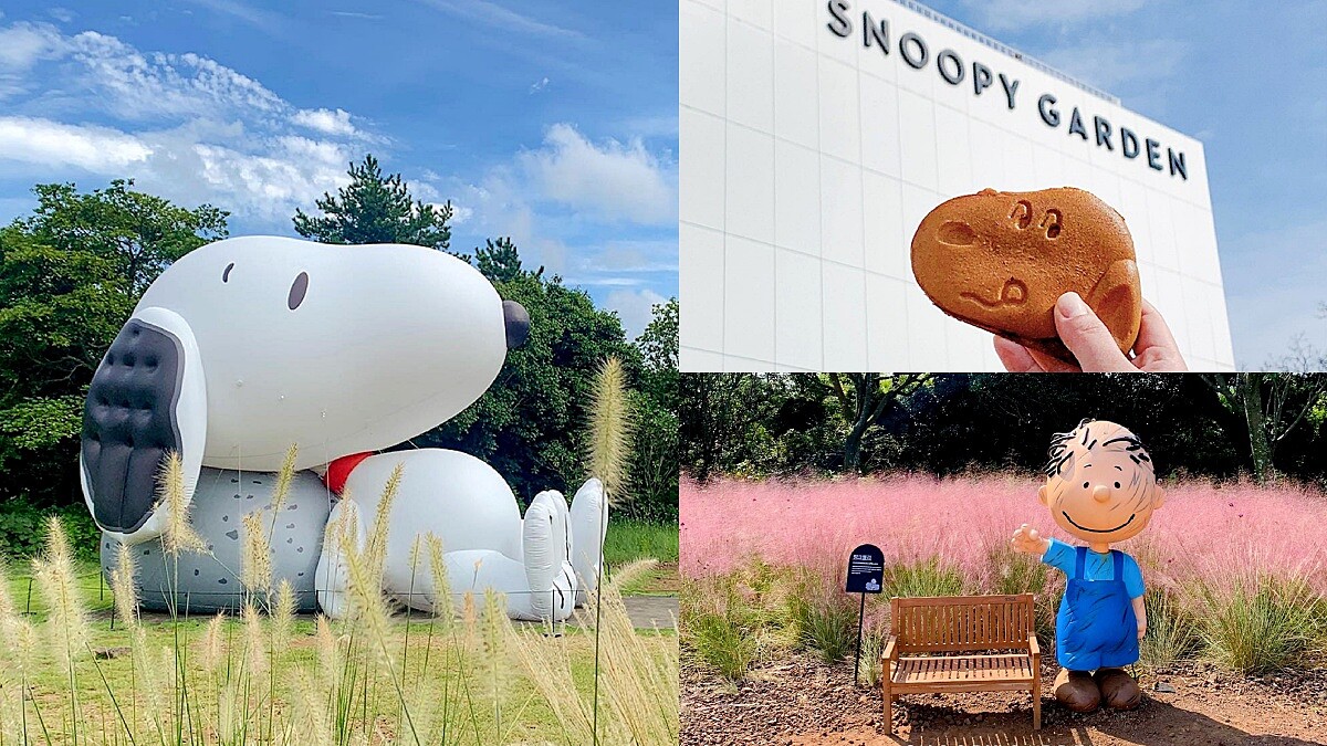 「史努比庭園」濟州島必去景點！11大主題區域、四季美景可愛到融化，SNOOPY大頭麵包逼人刷機票