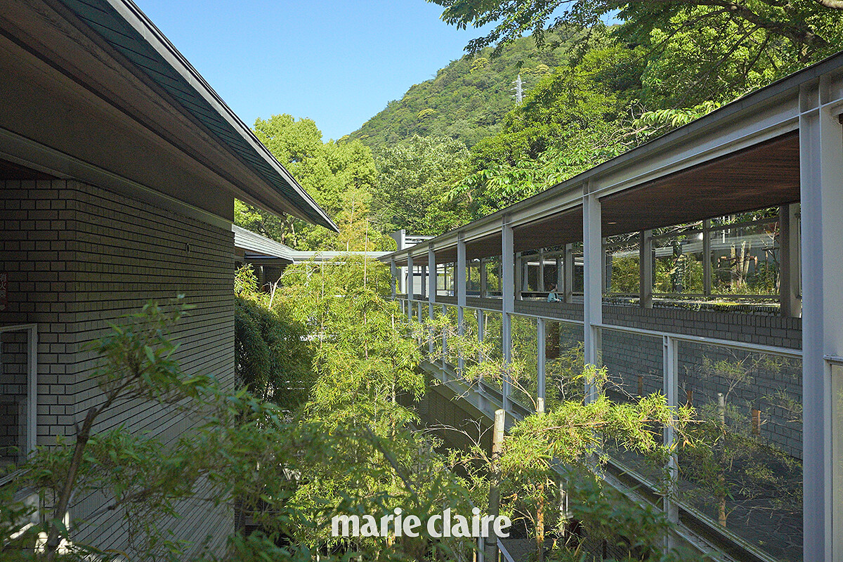 通向客房走廊上有著整排隨風搖曳的竹子。