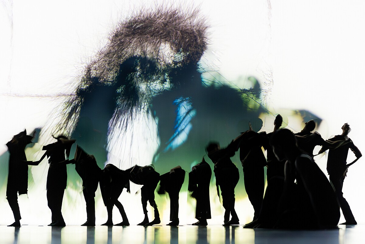 雲門50 鄭宗龍《波》（攝影／李佳曄）