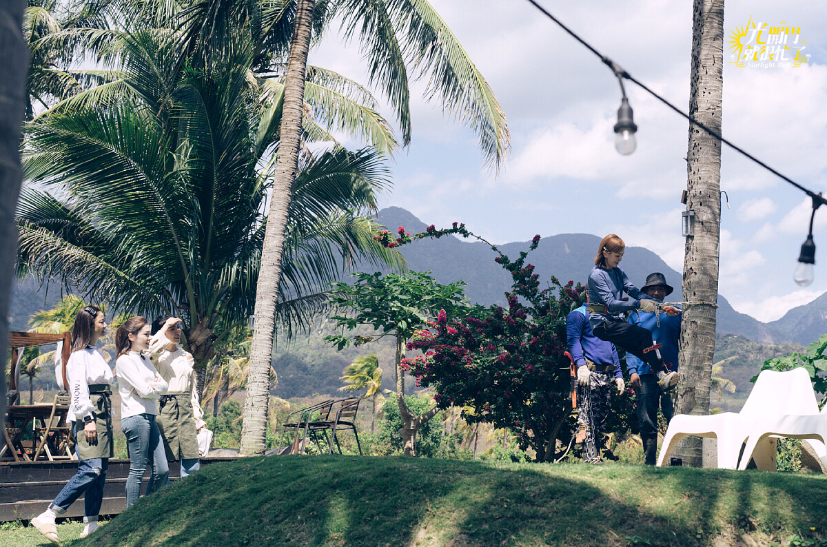 《光開門就很忙了》陳意涵帶客人爬椰子樹。