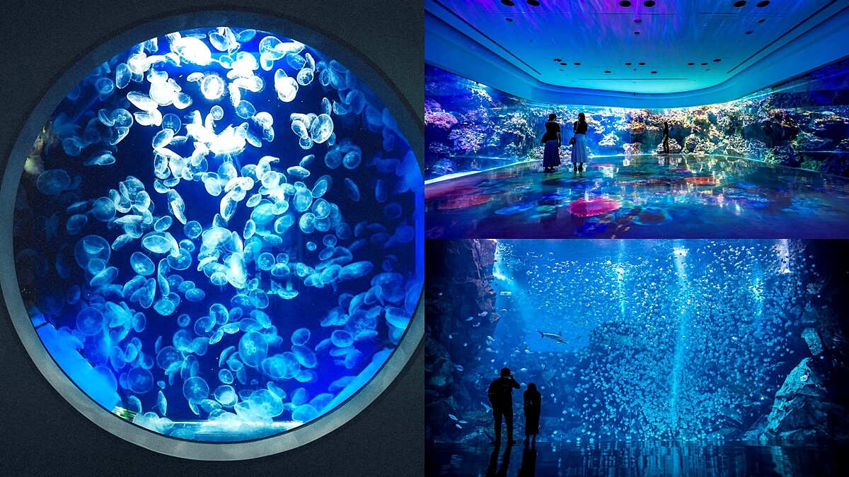 Xpark「七夕星光版」超適合情侶約會！月光照射浪漫滿分，加碼竹燈星空隧道美照拍不完