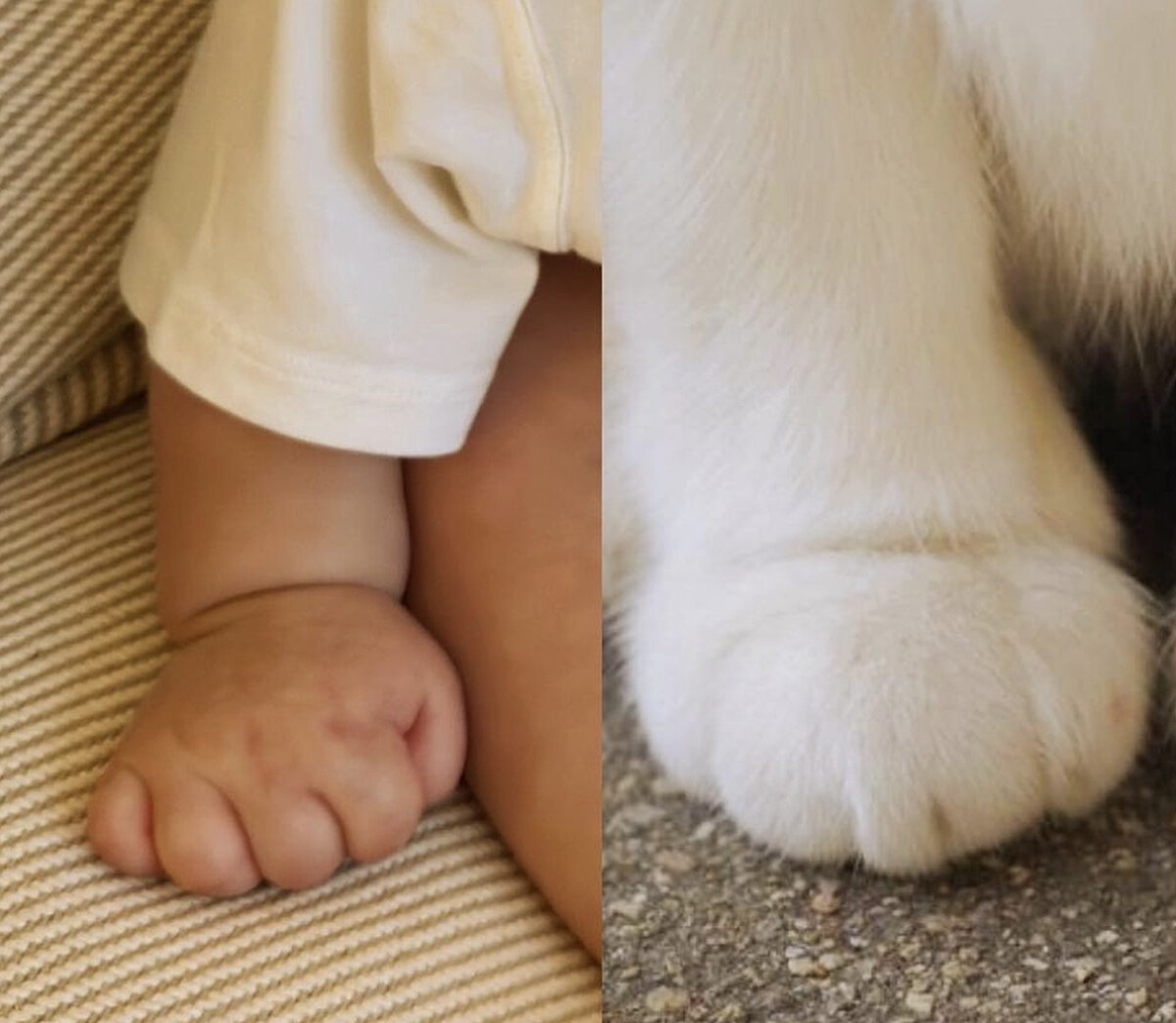 孫藝珍分享兒子小手手