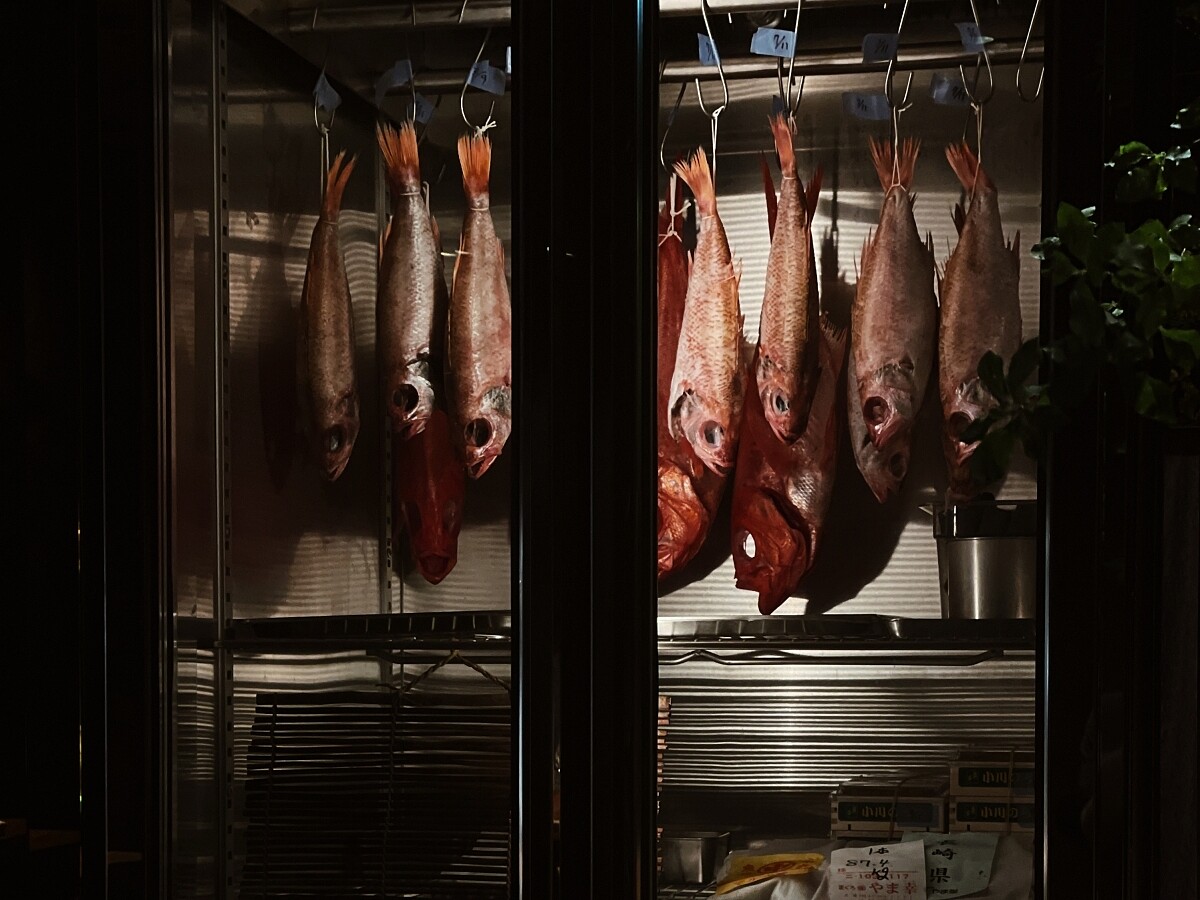 餐廳一隅的海鮮熟成冰箱。