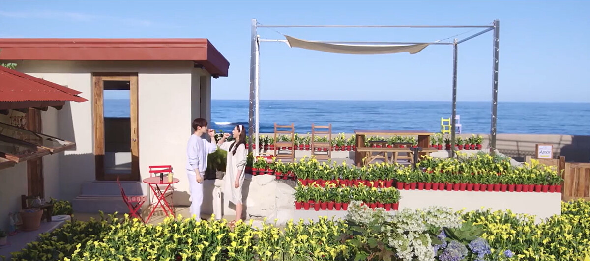 鏡頭中的黃色花田，全是出自本部長之手