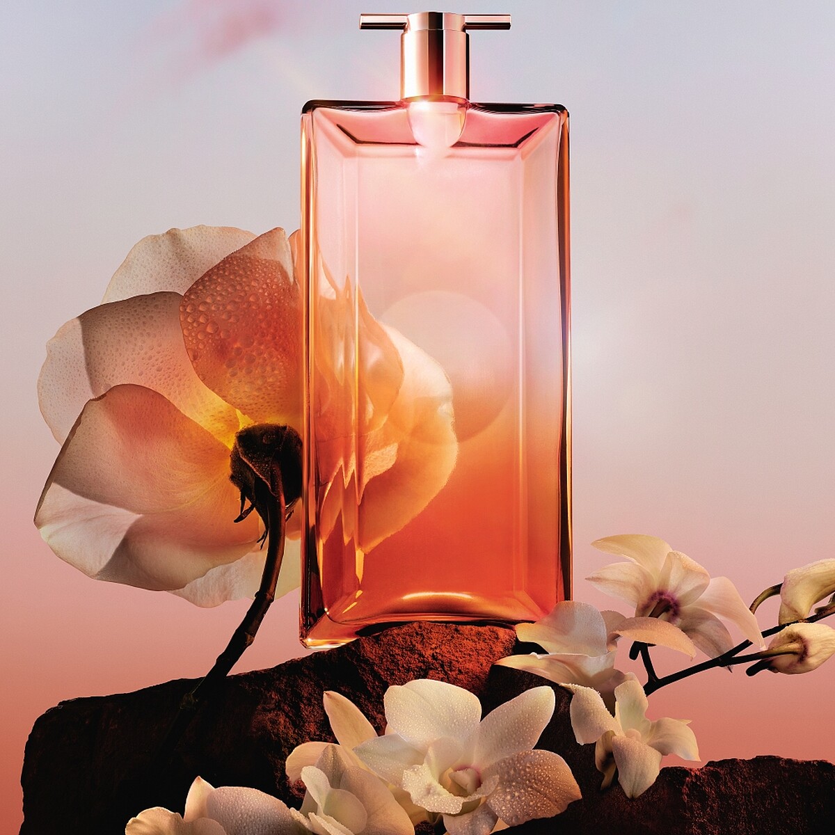 蘭蔻IDOOLE唯我香水玫瑰花香25ml,NT2,000、50ml,NT3,400、100ml,NT 5,000