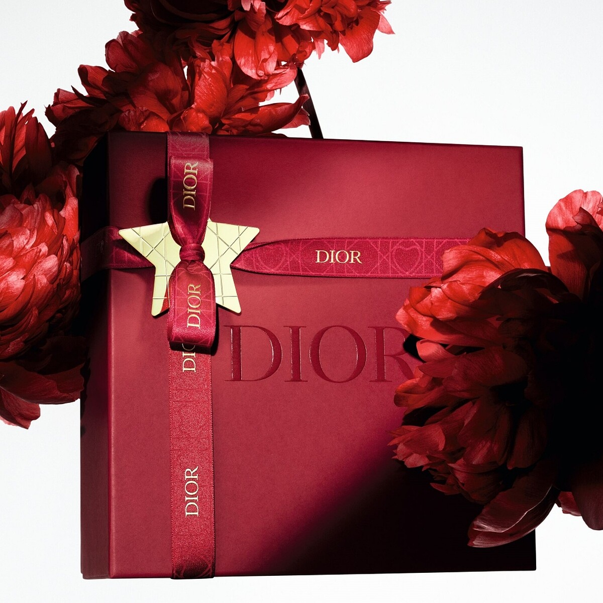 2023七夕DIOR線上旗艦店限定熱戀紅官網限定包裝。