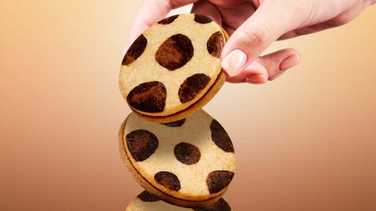 石虎起司焦糖餅乾