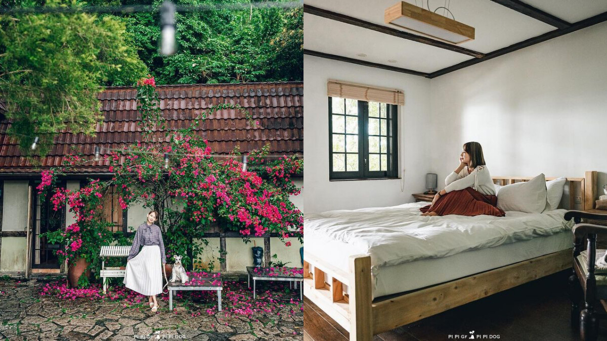 Photo／IG@pipigfpipidog.ajung 授權提供