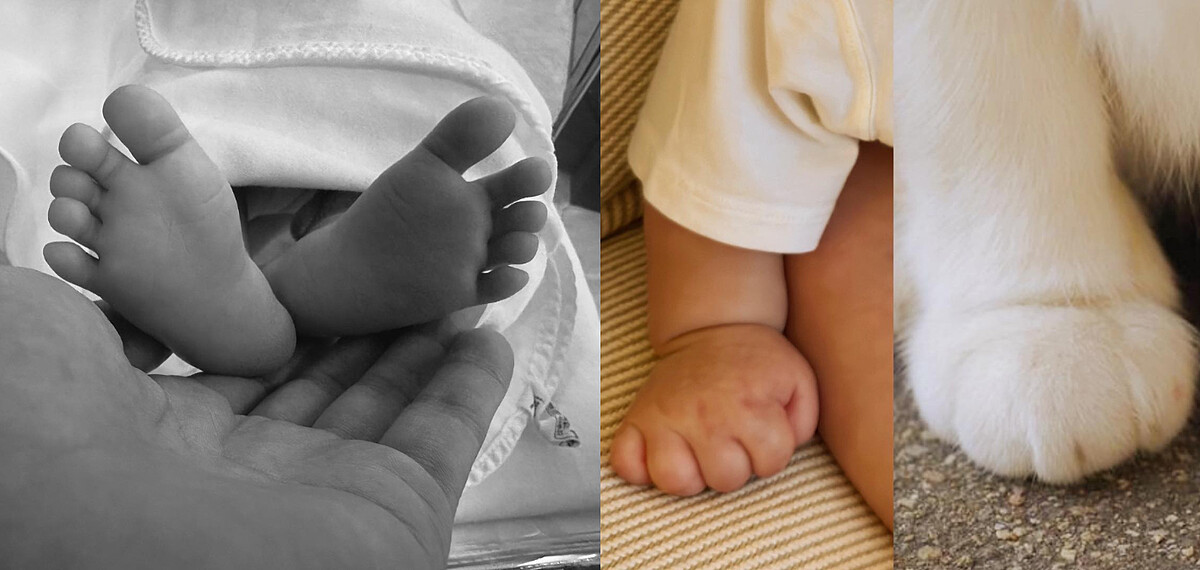 孫藝珍分享兒子小手小腳