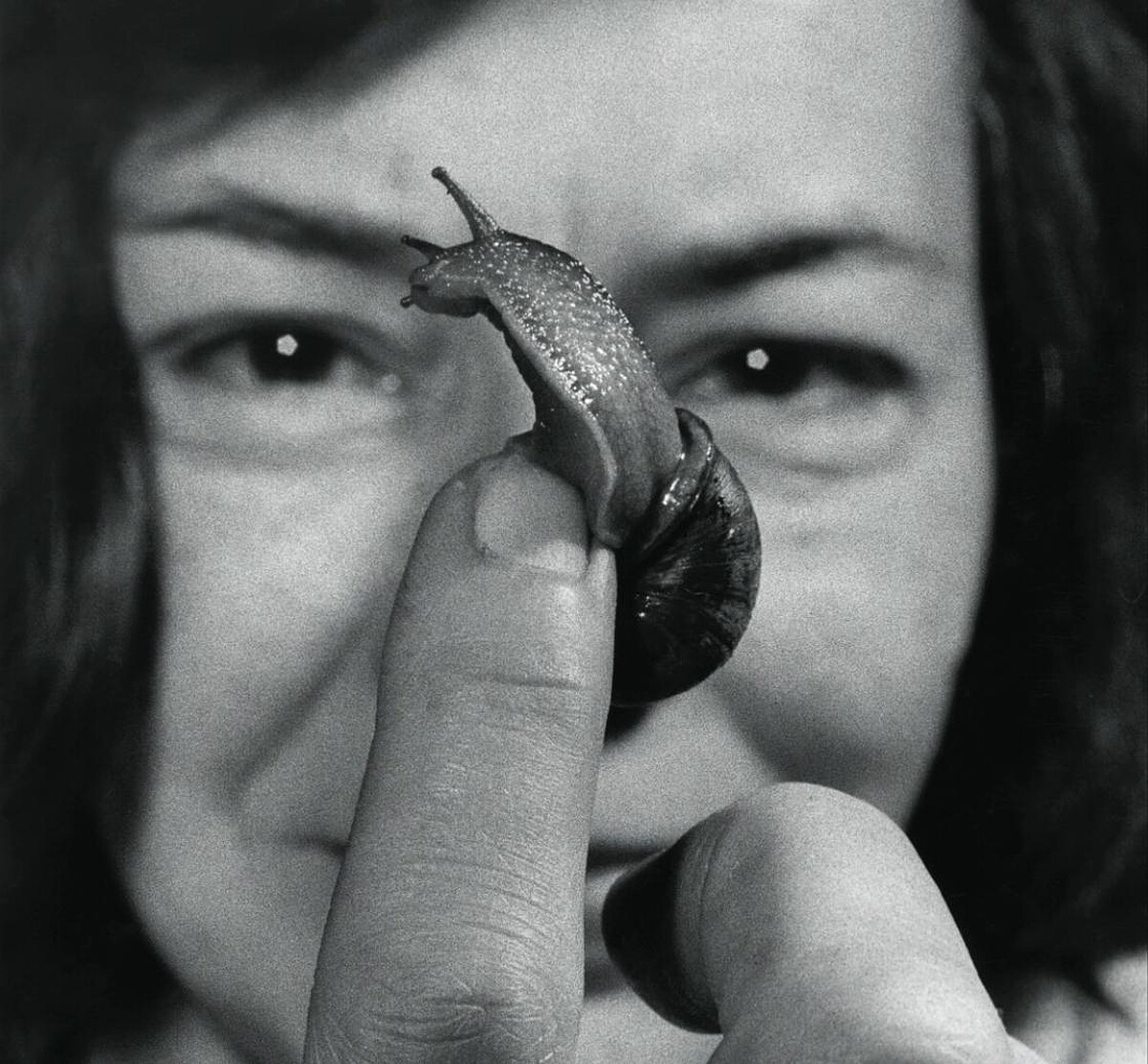 《尋愛小說家：海史密斯》派翠西亞．海史密斯酷愛雌雄同體的蝸牛