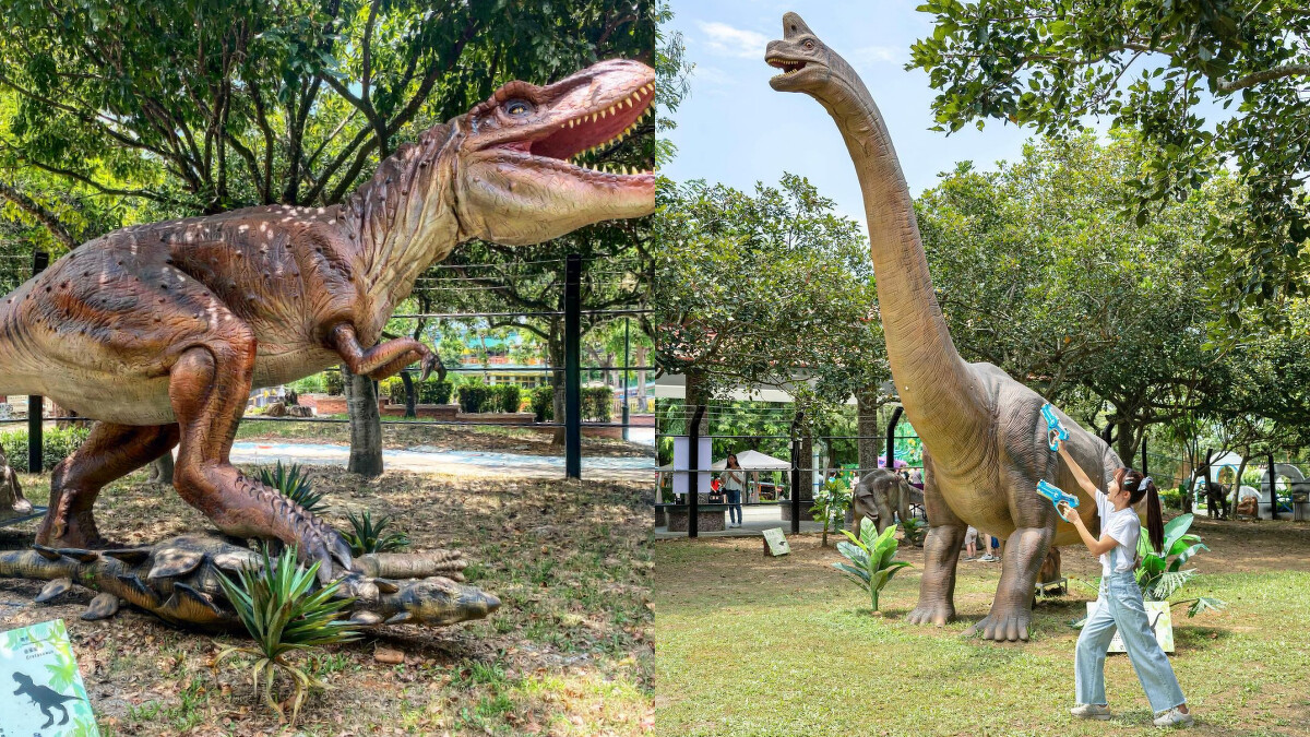 Photo／IG＠imhaven84授權提供、FB古生物奇幻樂園