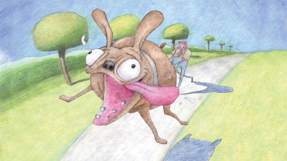 比爾普林頓 Bill Plymoton｜美國 USA｜2004｜手繪、2D｜DCP｜Color｜5 min