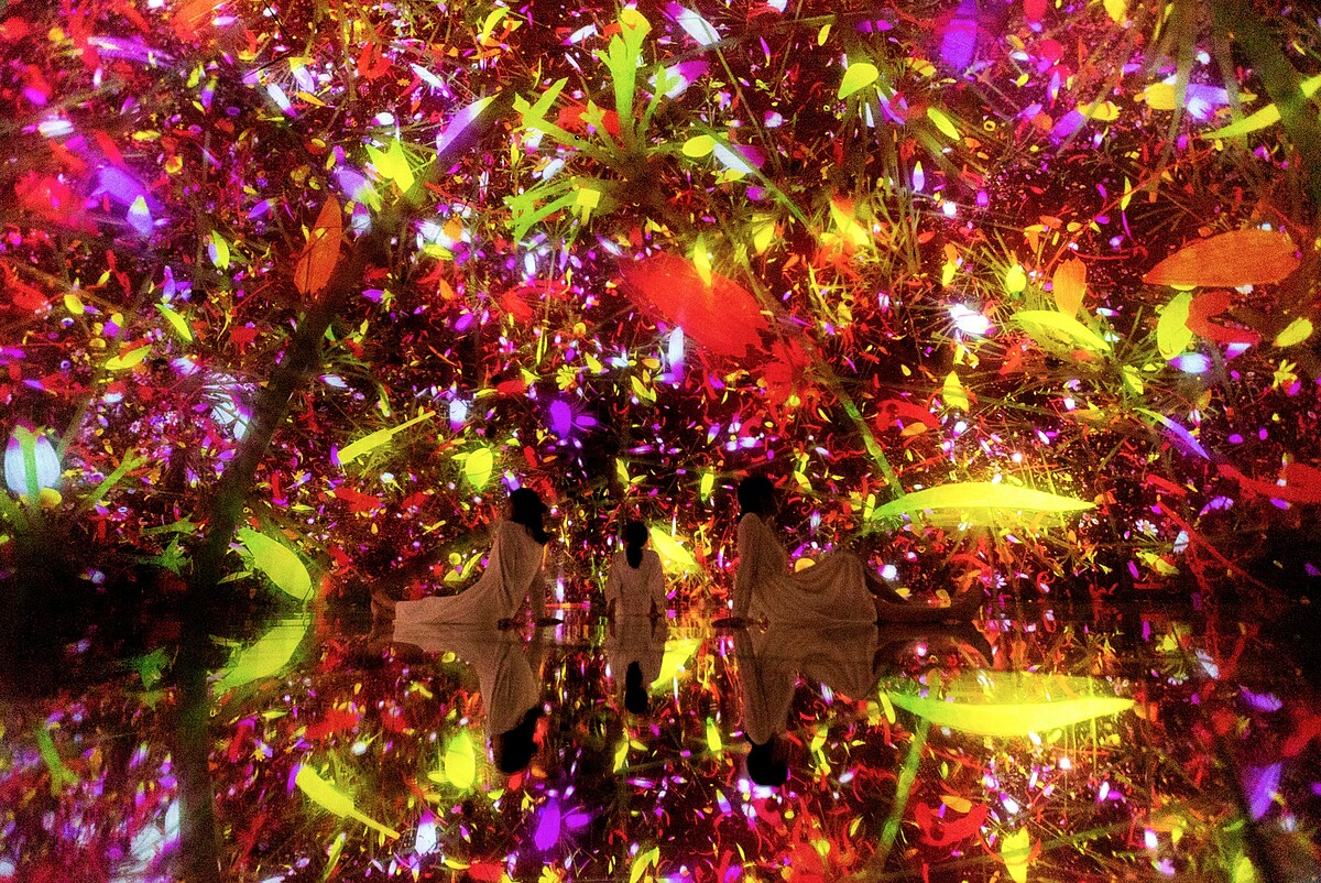 teamLab《漂浮於落花世界》Autumn &copy; teamLab