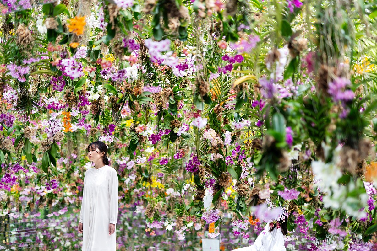 teamLab《漂浮的花園──花朵與我同根同源，花園與我合為一體》&copy; teamLab